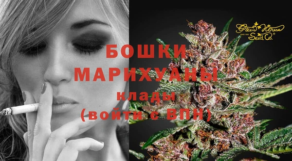 сатива Бронницы