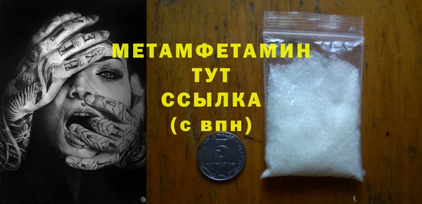прущие грибы Бородино
