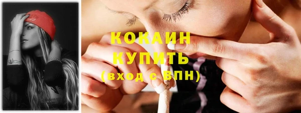 мяу мяу мука Богданович