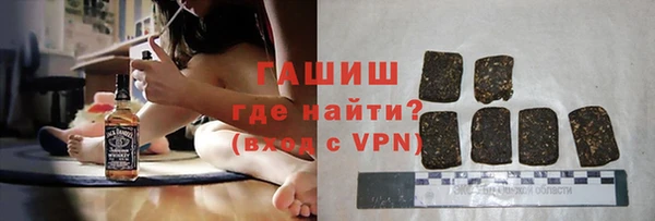 прущие грибы Бородино