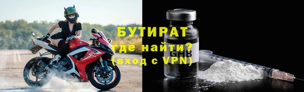 прущие грибы Бородино