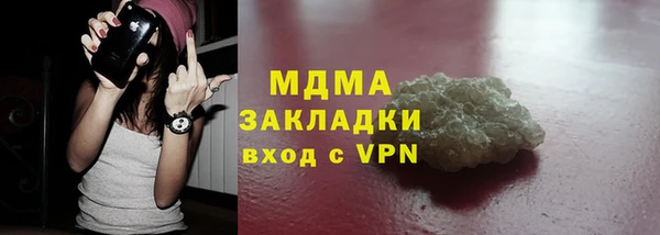 прущие грибы Бородино