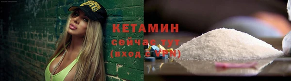 сатива Бронницы