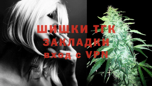 прущие грибы Бородино